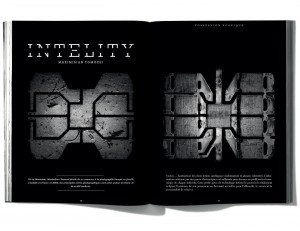 Photographies de Maximilan Tomozei, Intelity