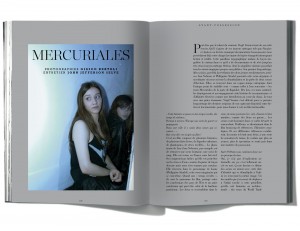 Entretien avec Virgil Vernier, Mercuriales