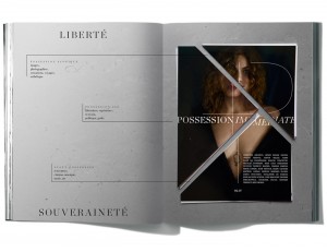 Possession Immédiate volume 4 – possession scopique, possession 269, avant posession