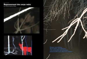 Rayonnement des corps noirs par Kamilya Kuspanova