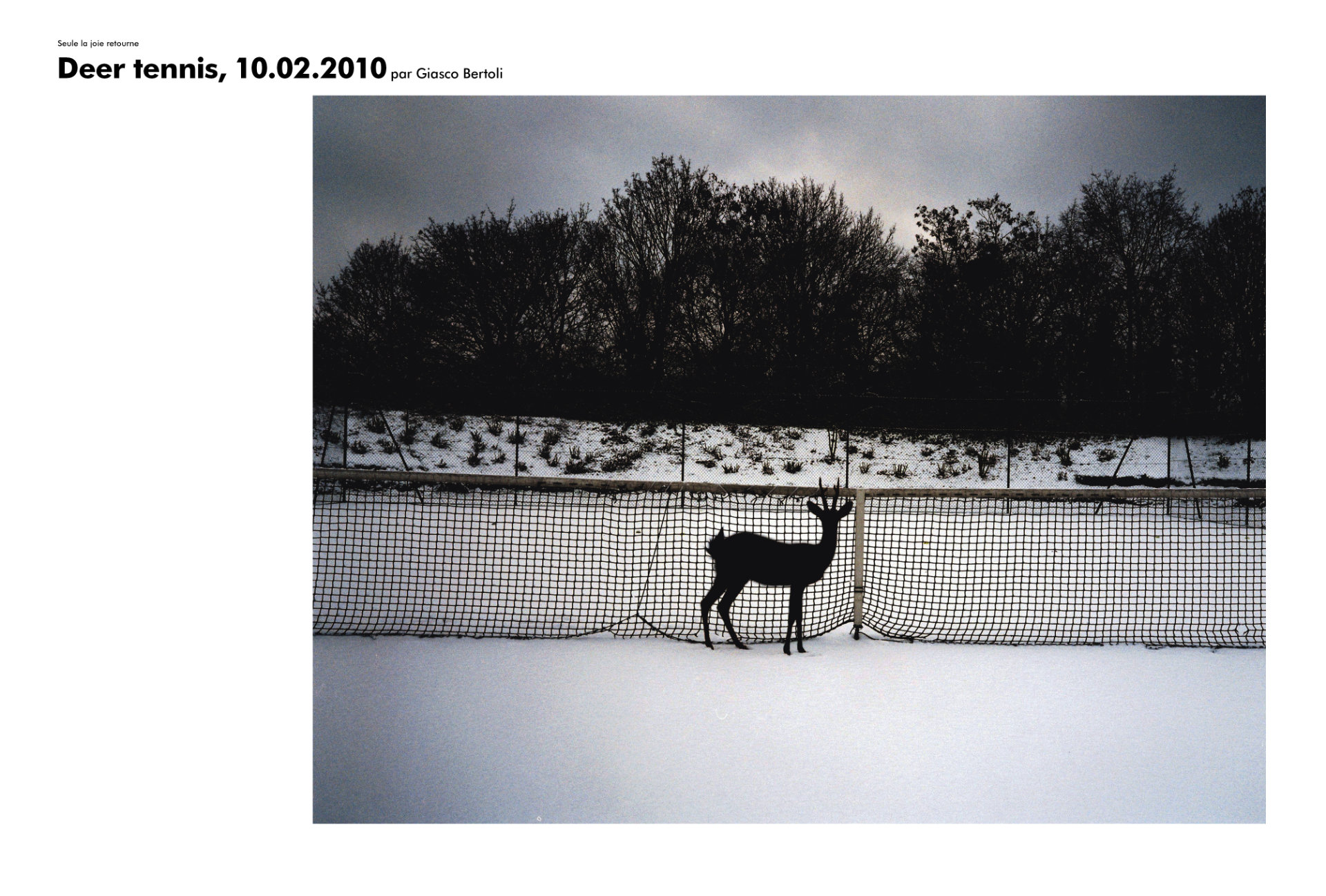 Deer Tennis, 10-02-2010 par Giasco Bertoli